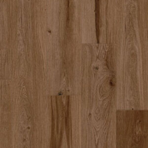 Cinnamon Bark Oak